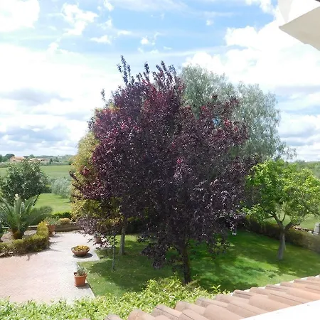 Bed and Breakfast L'albero Del Pepe Fiano Romano Esterno foto